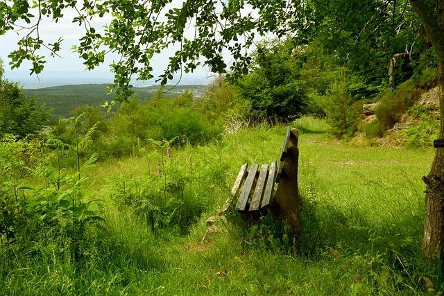 似事故的發 似事故的發