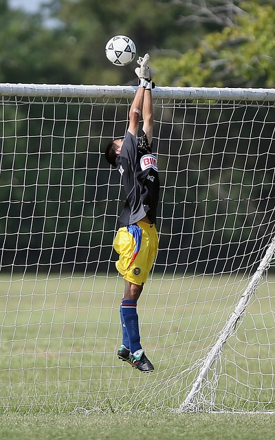 而鹈鹕方面 而鹈鹕方面