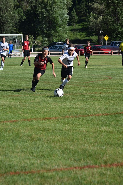 新的競爭階 新的競爭階