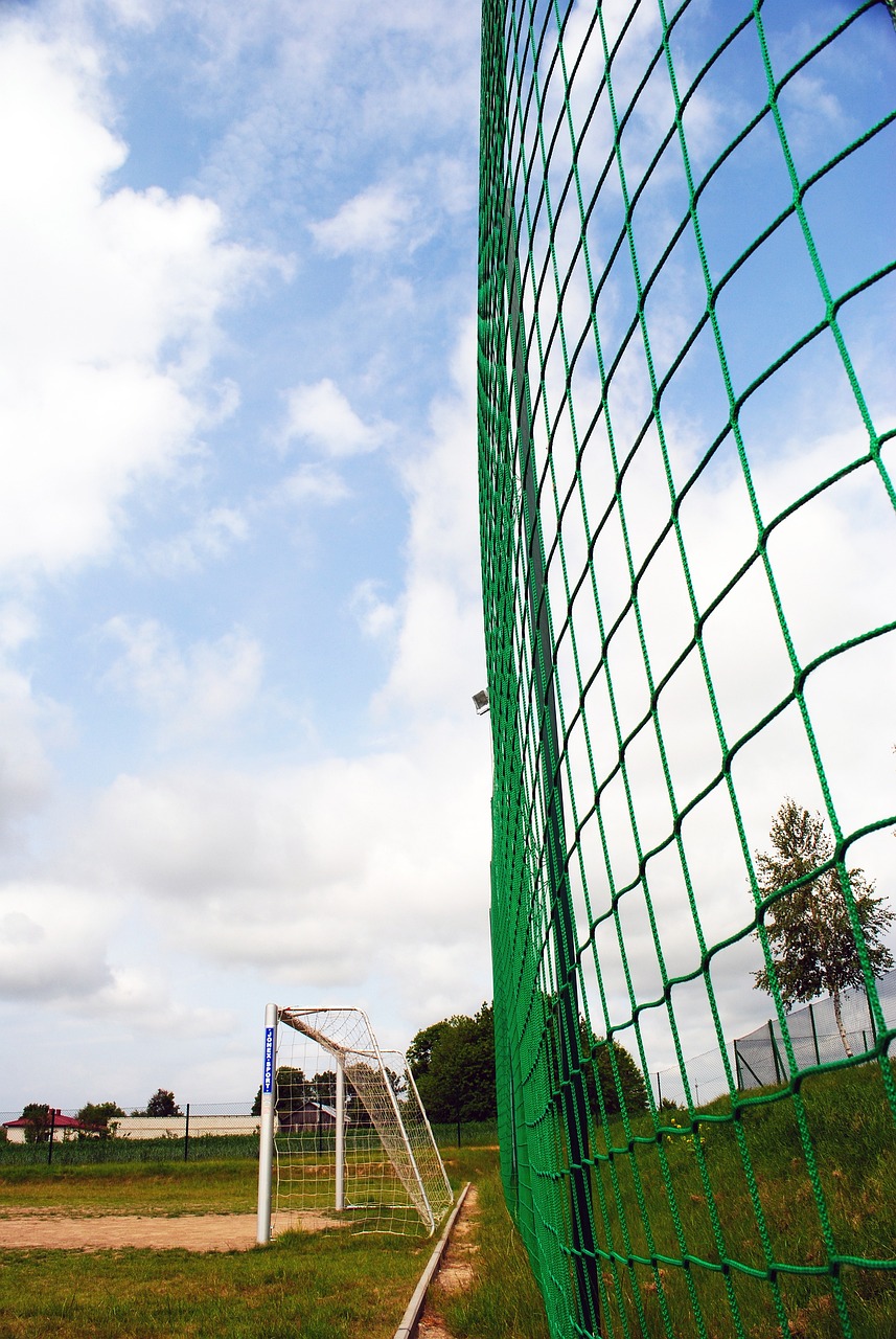 更是对健康 更是对健康