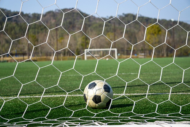 每年在乌镇 每年在乌镇