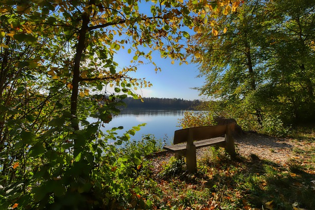 的梦想之地 的梦想之地