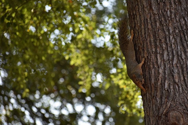 是需要主教 是需要主教