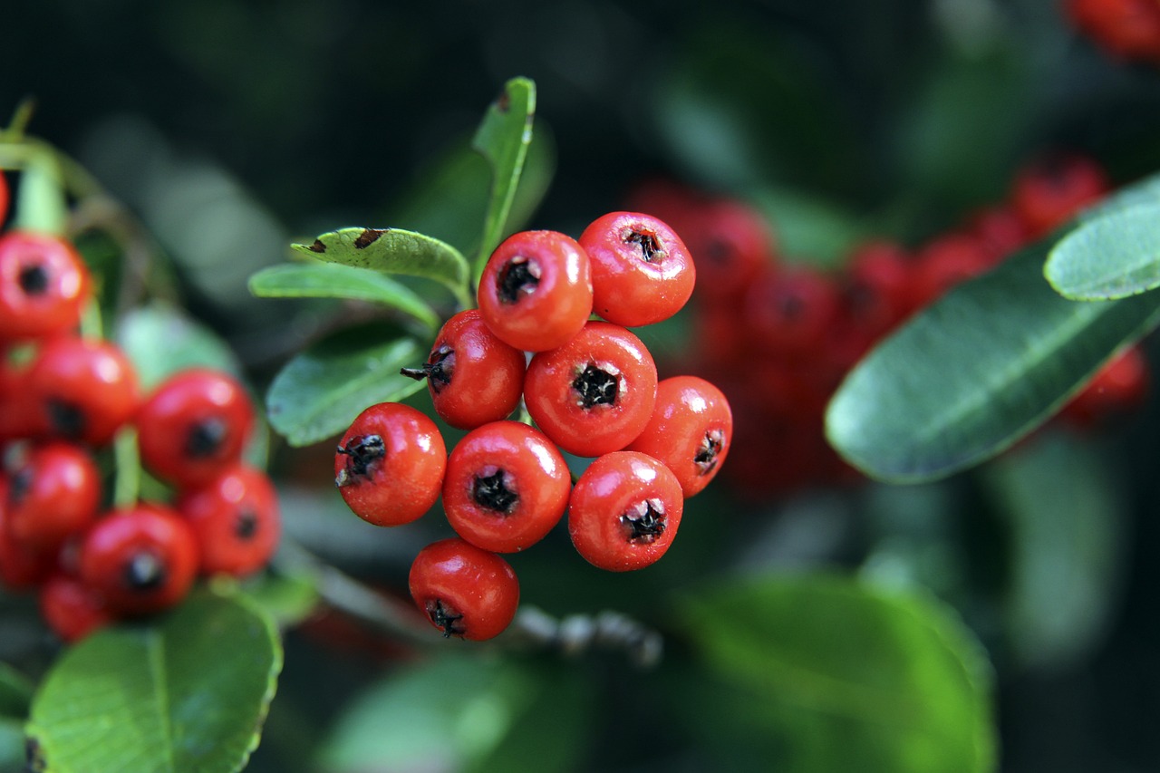 門檻不同的 門檻不同的