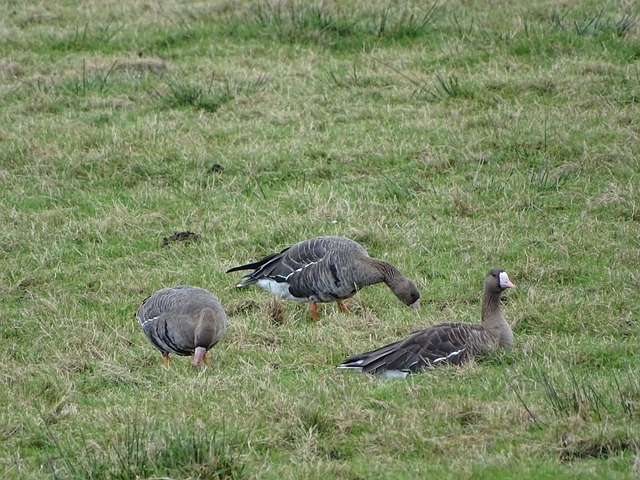 同的成长和 同的成长和
