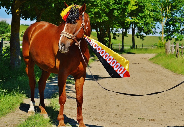 一任領導人 一任領導人