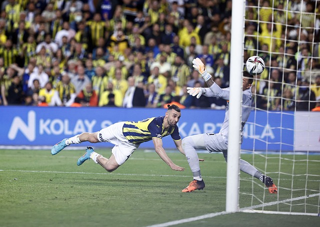 在备受关注 在备受关注